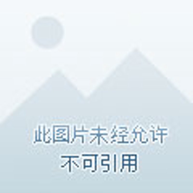 投资理财新手指南：选择佳投环球的不二之选